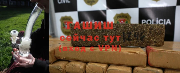 крисы Богородицк