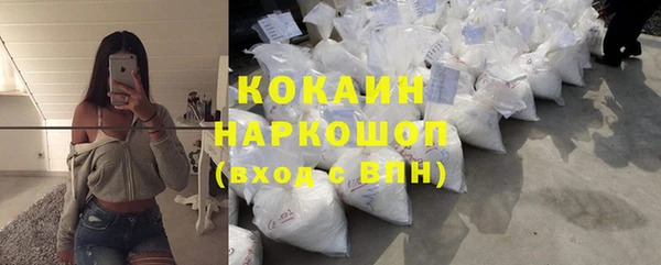 крисы Богородицк