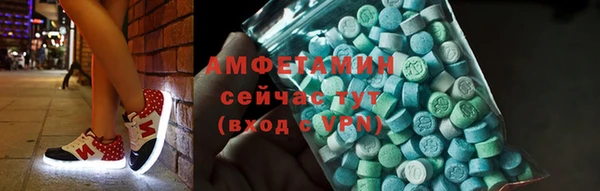 крисы Богородицк