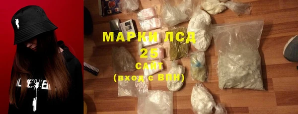 крисы Богородицк