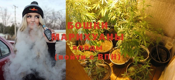крисы Богородицк