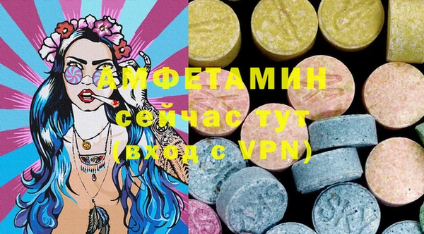 крисы Богородицк