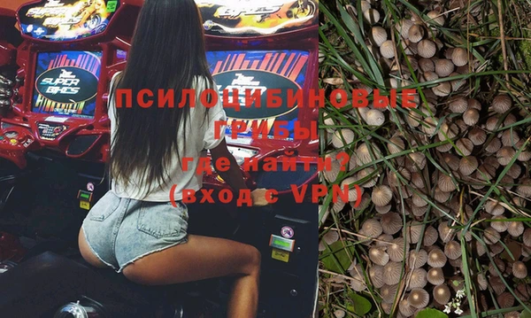 PSILOCYBIN Богородск