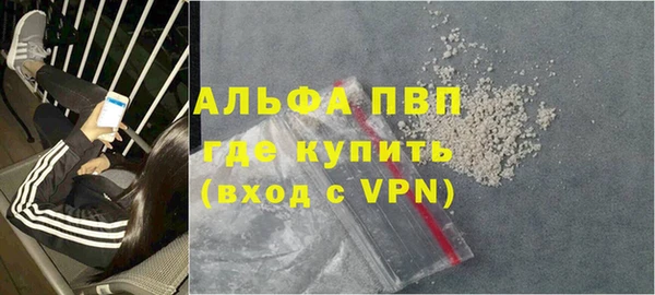 крисы Богородицк