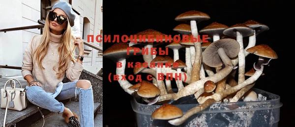 PSILOCYBIN Богородск