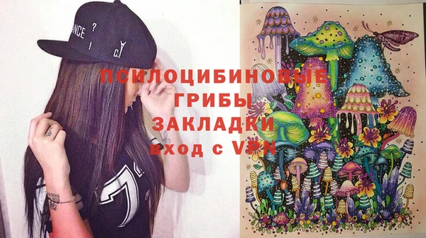 крисы Богородицк