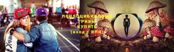 крисы Богородицк