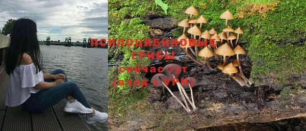 крисы Богородицк