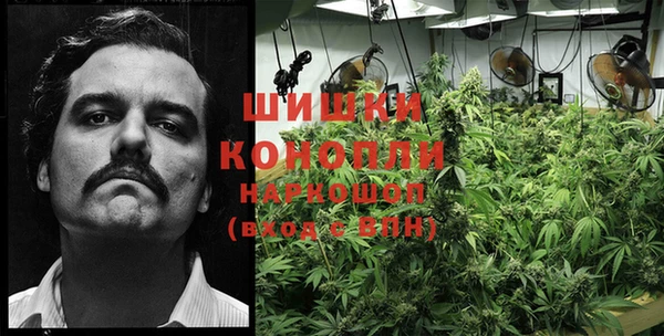 PSILOCYBIN Богородск