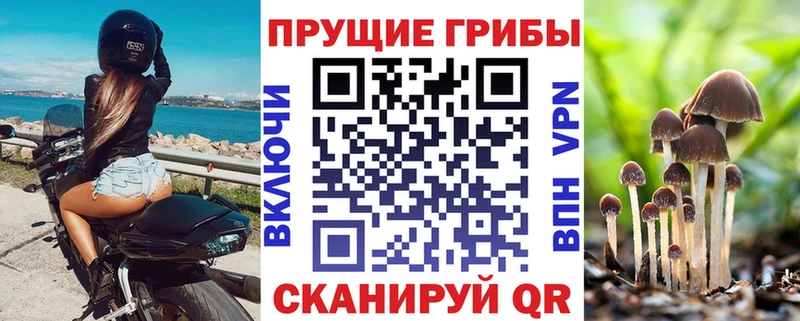 Галлюциногенные грибы Psilocybine cubensis  omg рабочий сайт  Городище 